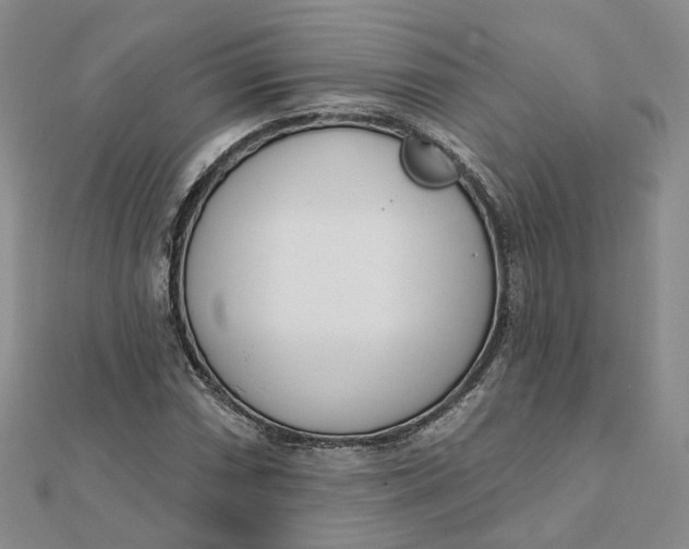 X0000112081066200908251059