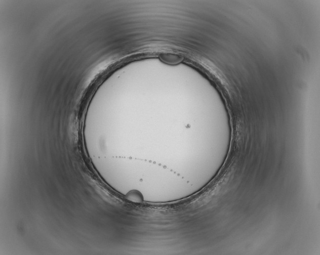 X0000112081067200908251059