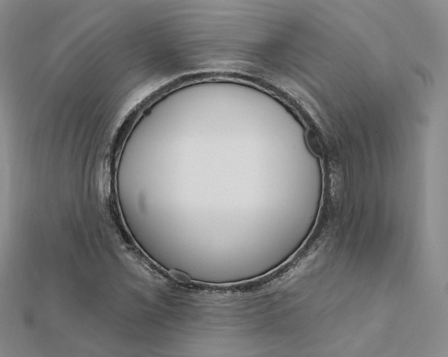 X0000112081069200908251059