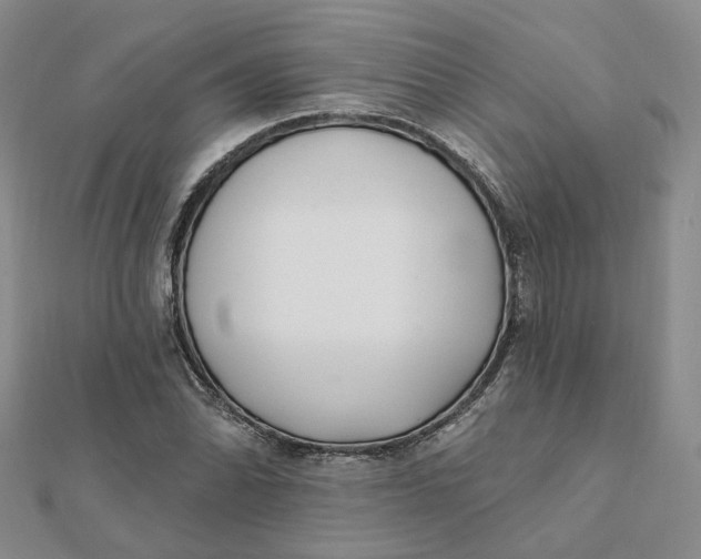 X0000112081070200908251059