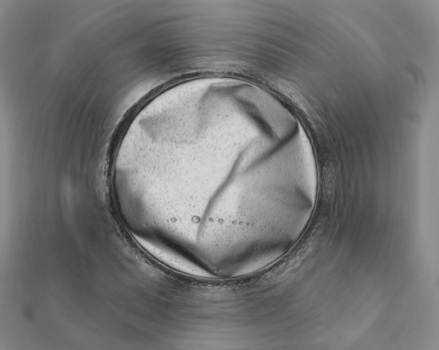 X0000112081071200908251059