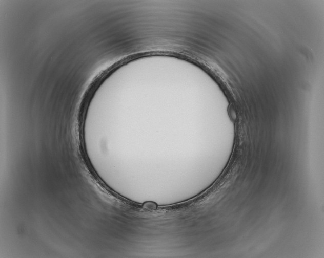 X0000112081072200908251059