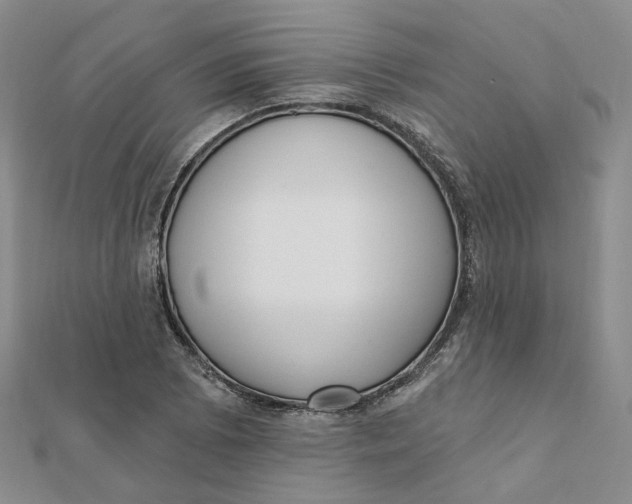 X0000112081073200908251059