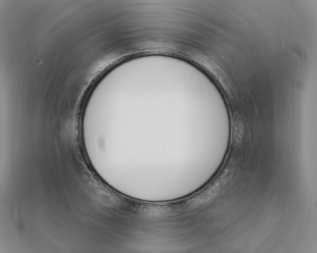 X0000112081074200908251059