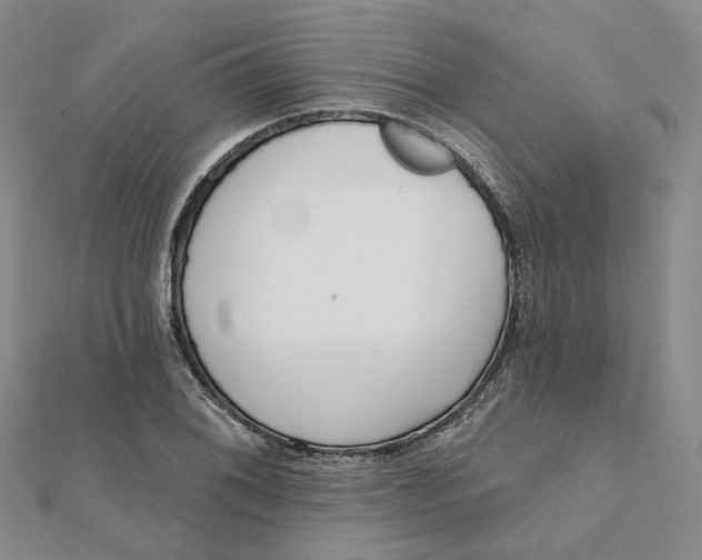 X0000112081076200908251059