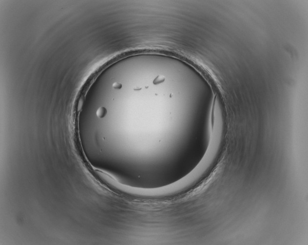 X0000112081077200908251059