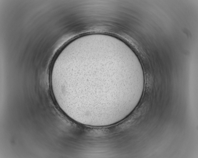 X0000112081078200908251059