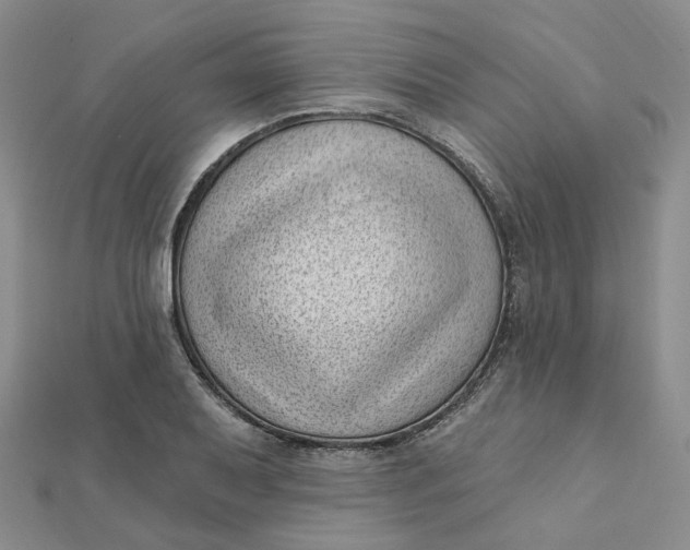 X0000112081079200908251059