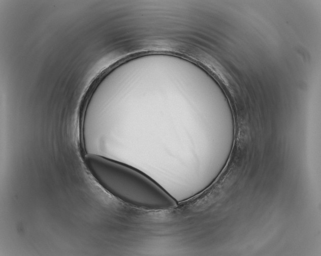 X0000112081080200908251059