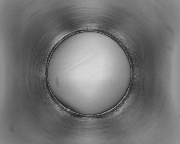 X0000112081081200908251059