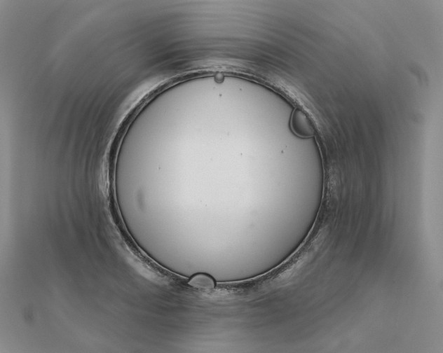 X0000112081082200908251059