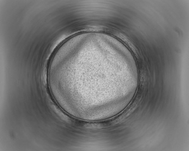 X0000112081083200908251059