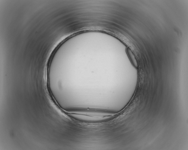 X0000112081084200908251059