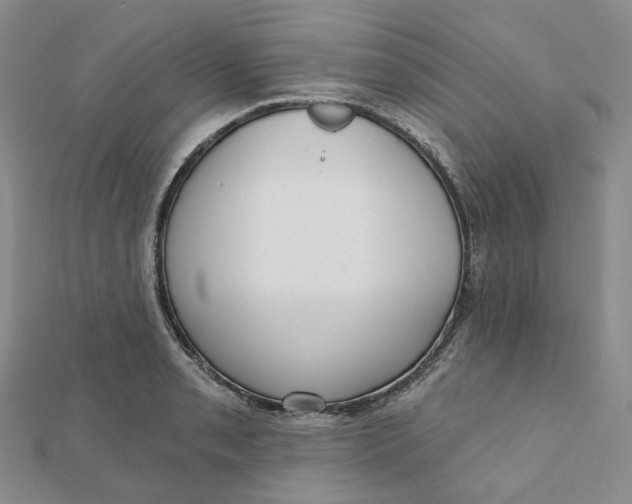 X0000112081085200908251059