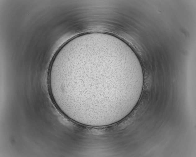 X0000112081086200908251059