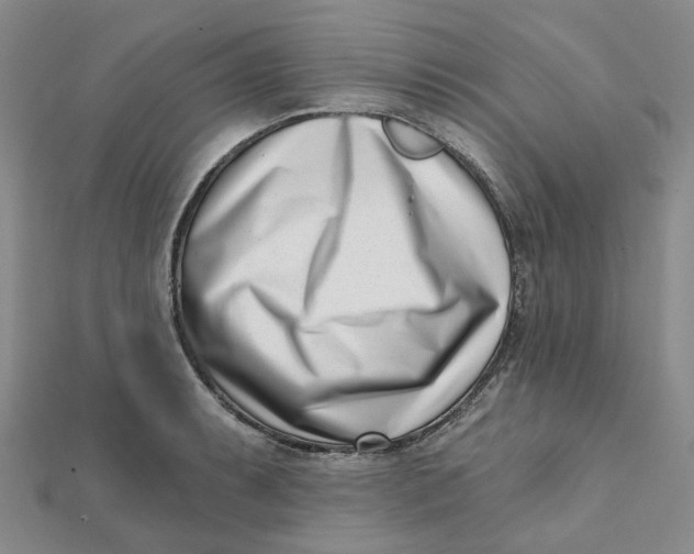 X0000112081087200908251059