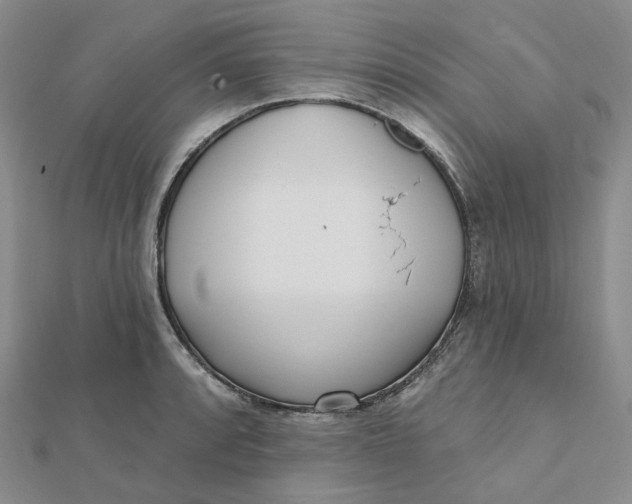 X0000112081088200908251059