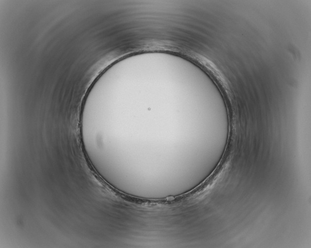 X0000112081089200908251059