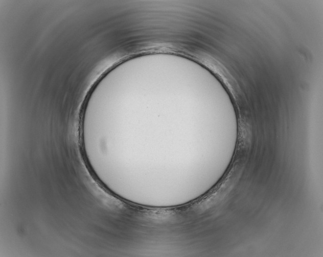 X0000112081090200908251059