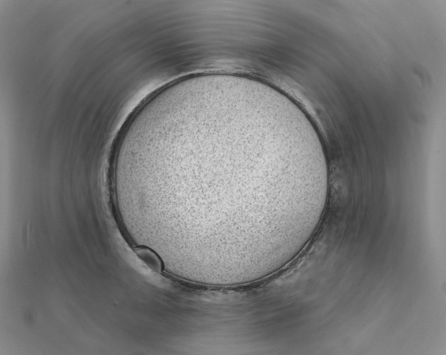 X0000112081091200908251059