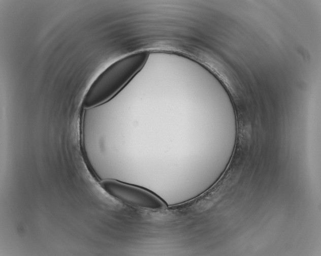 X0000112081092200908251059