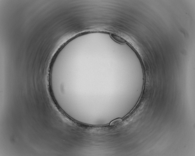 X0000112081093200908251059