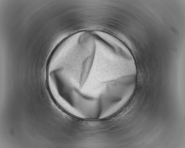 X0000112081095200908251059