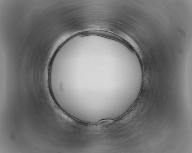 X0000112081096200908251059