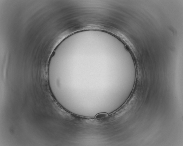 X0000112081097200908251059