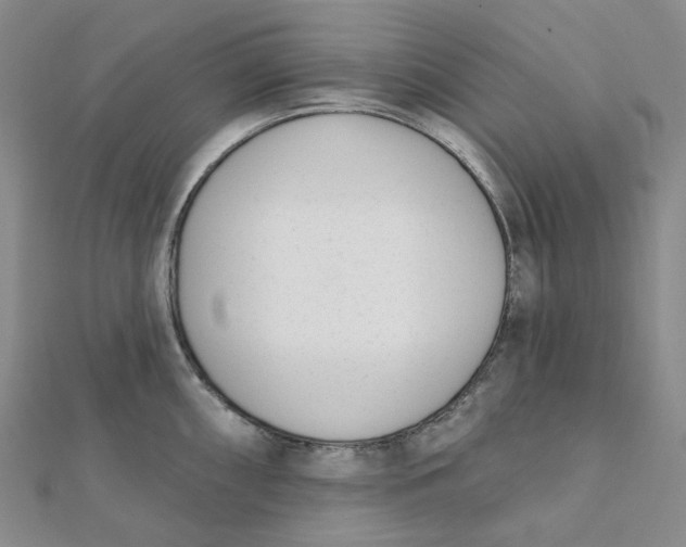 X0000112081098200908251059