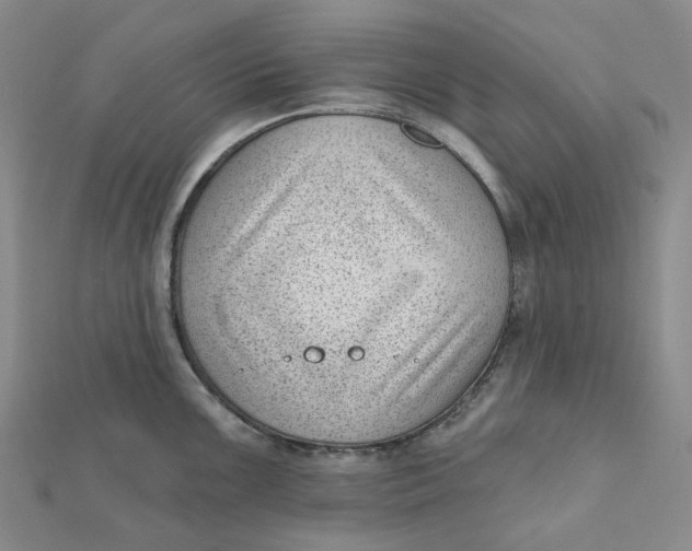 X0000112081099200908251059