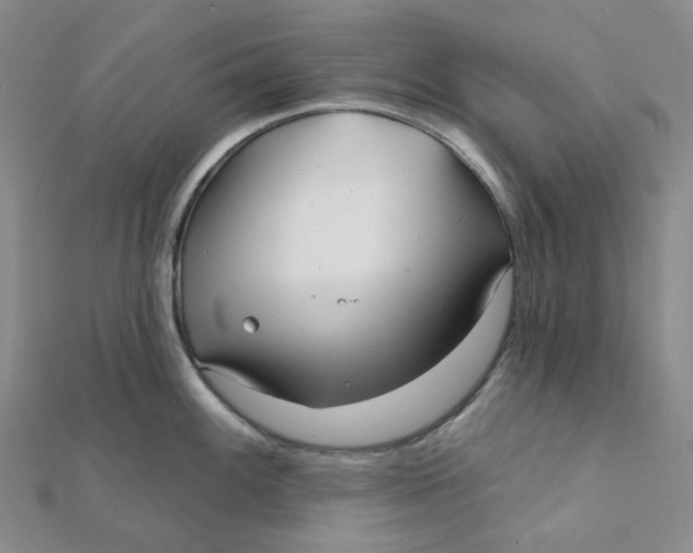 X0000112081100200908251059