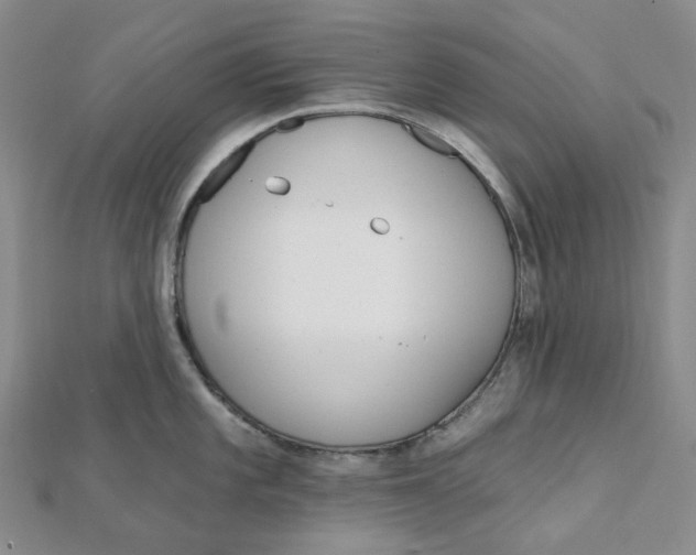 X0000112081101200908251059