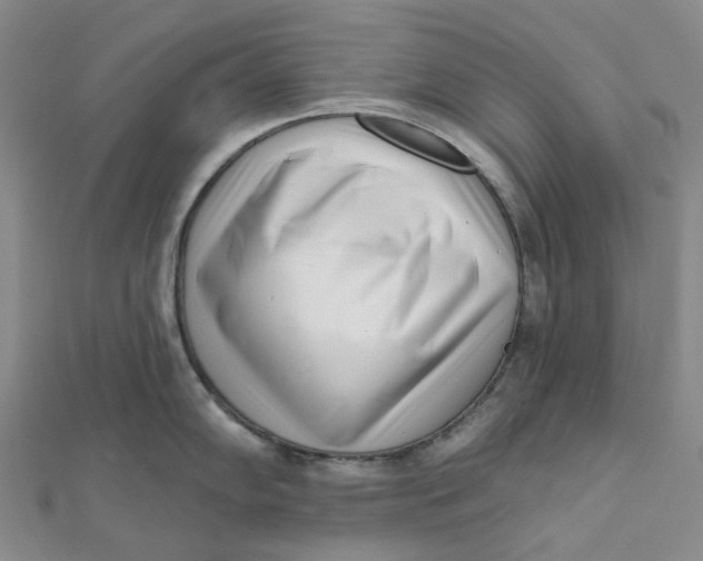 X0000112081102200908251059