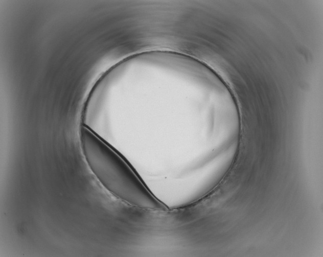 X0000112081104200908251059