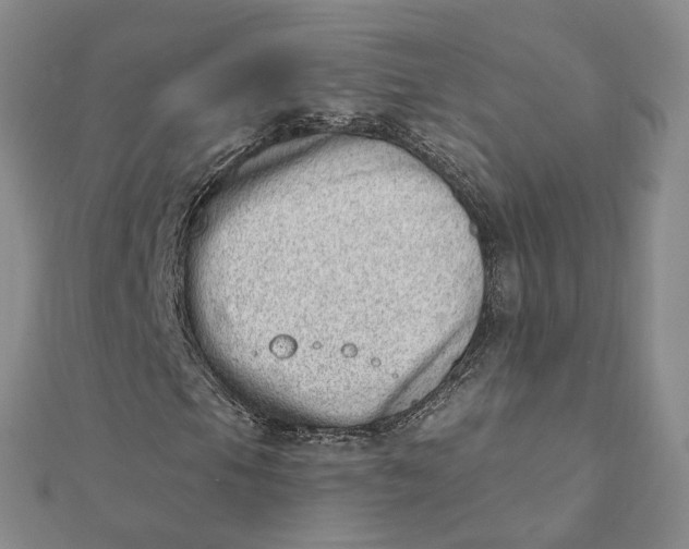 X0000112081105200908251058