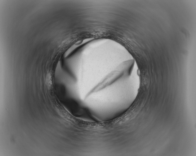 X0000112081106200908251058