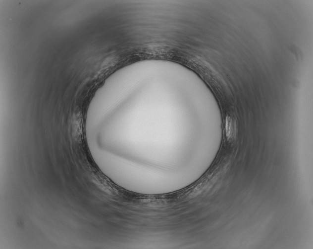 X0000112081107200908251058