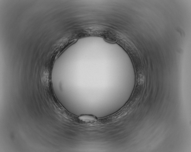 X0000112081108200908251058