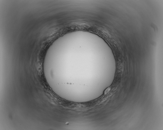 X0000112081109200908251058