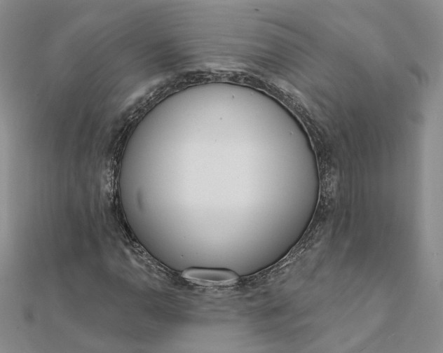 X0000112081110200908251058