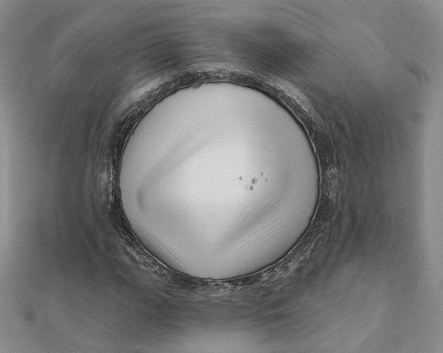 X0000112081111200908251058