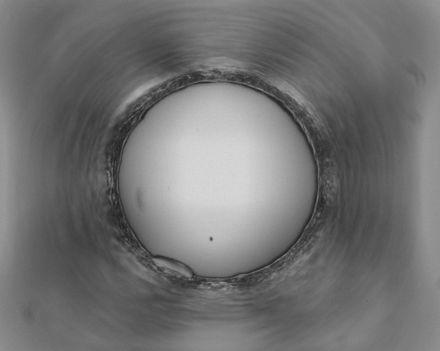 X0000112081112200908251058