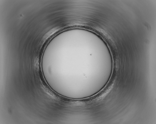 X0000112081113200908251058