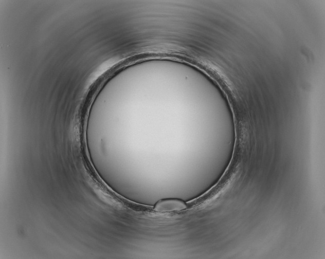 X0000112081114200908251058