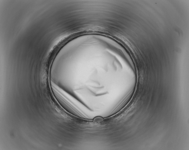 X0000112081115200908251058