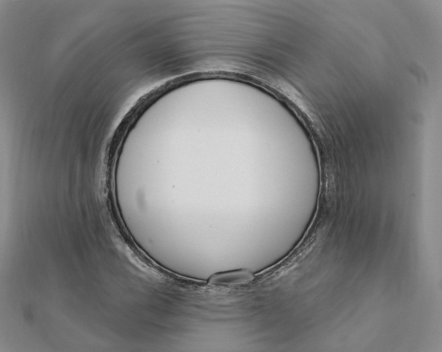 X0000112081116200908251058