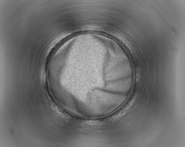 X0000112081117200908251058