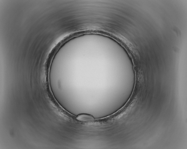 X0000112081118200908251058