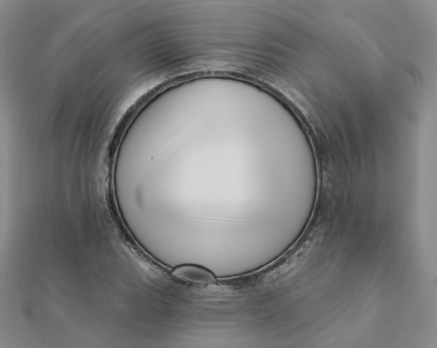 X0000112081119200908251058